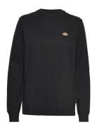 Ls Mapleton Tee W Black Dickies