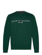 Tommy Logo Sweatshirt Green Tommy Hilfiger