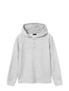 Nlmlaus Ls Sweat W. Hood Grey LMTD