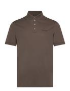 Polo Brown Armani Exchange