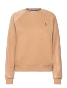 Erla Cr Ve Sw Uspa W Sweat Beige U.S. Polo Assn.