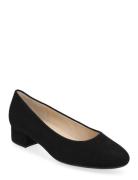 Pumps Black Gabor