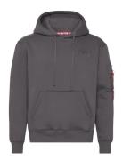 Back Print Hoody Grey Alpha Industries