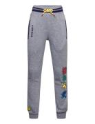 Pantalon Grey Harry Potter