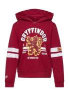 Sweats Red Harry Potter