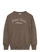 Sweatshirt Ls Brown Minymo