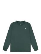 Ls-L/S Tee Green Levi's