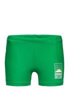 Norton Solid Green Molo