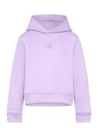 Ck Logo Boxy Hoodie Purple Calvin Klein