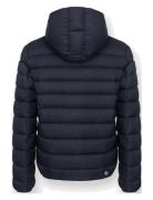 Mens Down Jacket Navy Colmar