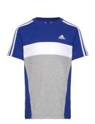 J 3S Tib T Blue Adidas Sportswear