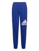 U Bl Pant Blue Adidas Sportswear