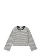 Cropped Striped Longsleeve Grey Tom Tailor