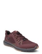 Terracruise Ii W Brown ECCO