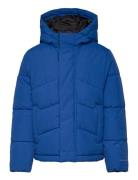 Jjworld Puffer Jacket Mni Blue Jack & J S