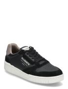 Regan Low Top Black AllSaints