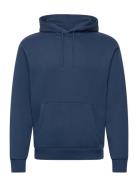 Hco. Guys Sweatshirts Navy Hollister