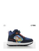 Paw Patrol High Sneaker Navy Leomil