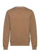 Sweatshirt - Pp Noos Brown Blend