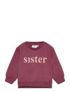 Tnsmolly Sweatshirt Burgundy The New