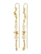 Intent Chain Earrings Gold Pilgrim