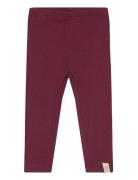 Legging Modal Burgundy Petit Piao