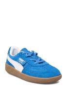 Palermo Ac Inf Blue PUMA