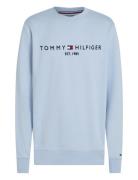 Tommy Logo Sweatshirt Blue Tommy Hilfiger