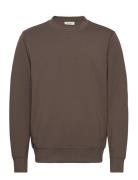 Cfsebastian Crew Neck Sweat Brown Casual Friday