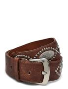 Metal Appliqué Belt Brown Mango