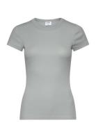 Fine Rib Tee Grey Filippa K