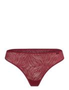 Thong Burgundy Calvin Klein