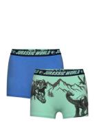 Boxer Blue Sun City Jurassic Park