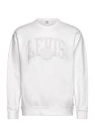 Relaxd Graphic Crew Tonal Athl White LEVI´S Men