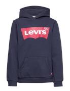 Levi's® Batwing Screenprint Hooded Pullover Blue Levi's