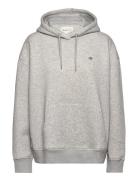 Rel Shield Hoodie Grey GANT