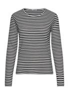 Cwamy Stripe - T-Shirt Navy Claire Woman