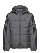 Adicolor Jacket Grey Adidas Originals