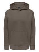 Onsdan Life Rlx Heavy Sweat Hoodie Noos Grey ONLY & SONS