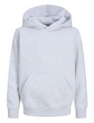 Jjeurban Edge Sweat Hood Noos Jnr Grey Jack & J S