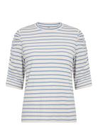 Sc-Onie Blue Soyaconcept