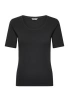 Slim Cot/Ela Ss Scoop Neck Top Black GANT