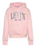 Po-Pull-Over Hoody Pink Levi's