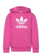 Trefoil Hoodie Pink Adidas Originals