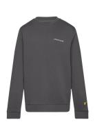 Script Crew Neck Sweatshirt Grey Lyle & Scott