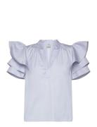 Madina Blue Baum Und Pferdgarten