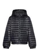 Shiny Light Padded Down Jacket Black GANT