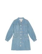 Chaya Blue Molo
