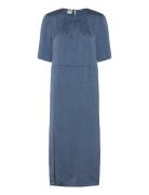 Achira Blue Baum Und Pferdgarten