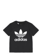 Trefoil Tee Black Adidas Originals